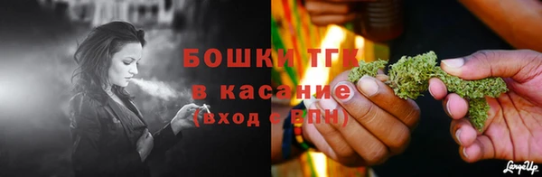 экстази Арсеньев
